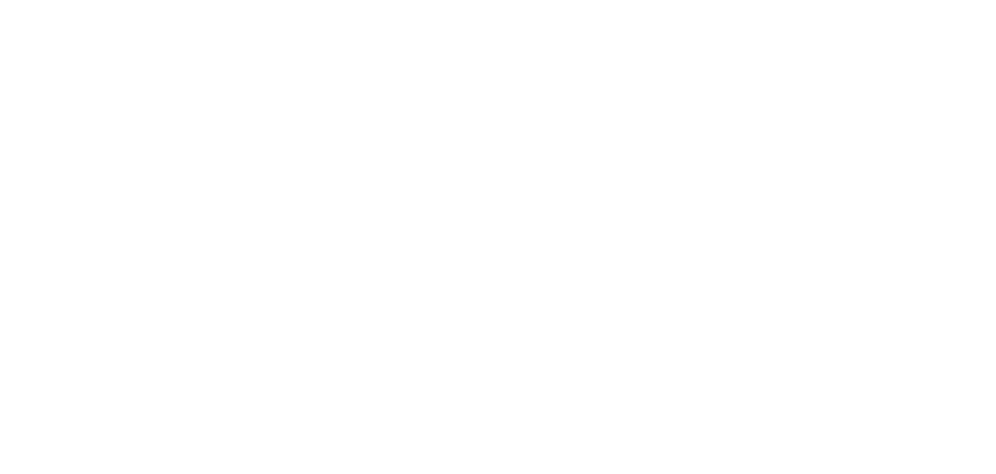 Montana Tags